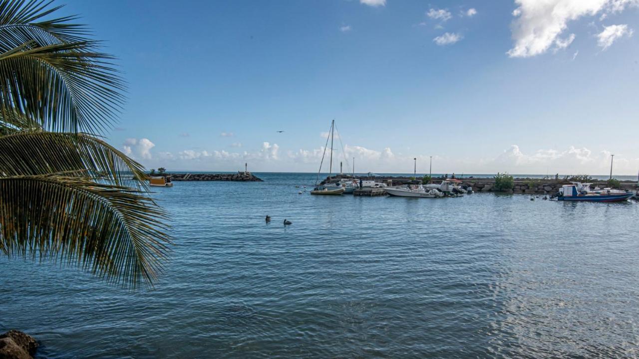 Superbe Studio A La Baie Des Pélicans Le Gosier  Esterno foto